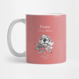 Peony - Latin Name - Botanical illustration 1. Mug